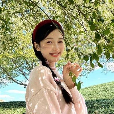 穿越橄榄树林
